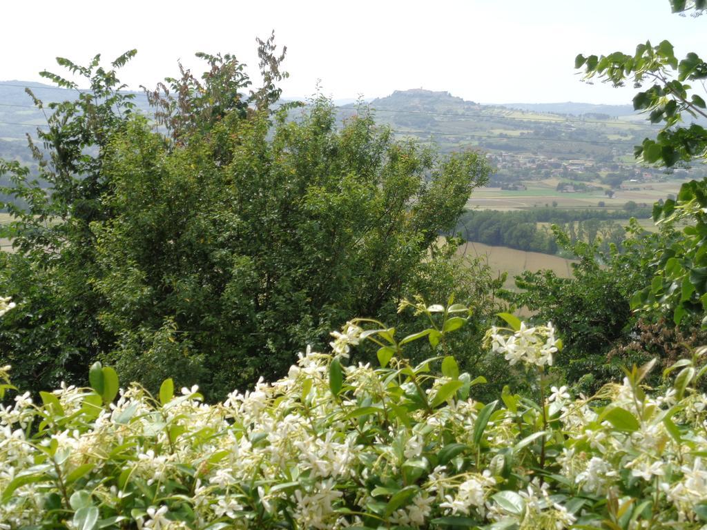 Agriturismo La Torraccia Todi Kültér fotó